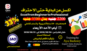 Excel from Beginner to Professional (Start: 06-08-2025)